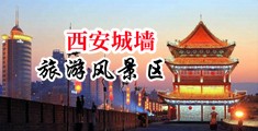 美少妇骚必找鸡八操中国陕西-西安城墙旅游风景区